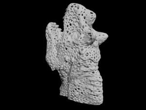 dragon head voronoy Model Cetak 3D