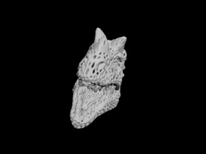 dragon head voronoy Model Cetak 3D