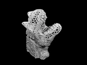 dragon head voronoy 3D Print Model