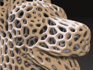 k&ouml;pek voronoi 3D Baskı Modeli