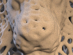 lion king voronoi 3D Baskı Modeli