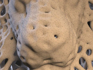 lion king voronoi 3D Print Model