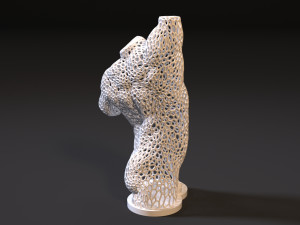 male torso voronoi 3D Print Model