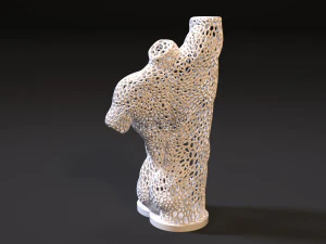 male torso voronoi 3D Print Model