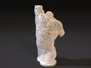 male torso voronoi 3D Принт Модель
