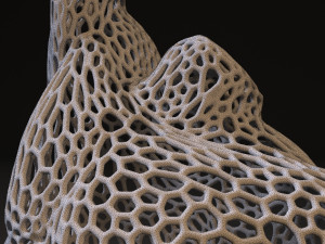 male torso voronoi 3D Принт Модель