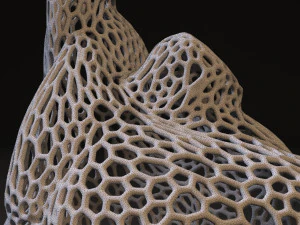 male torso voronoi 3D Print Model