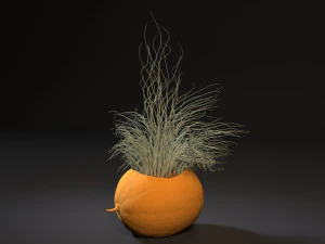 planter set 3D Print Model