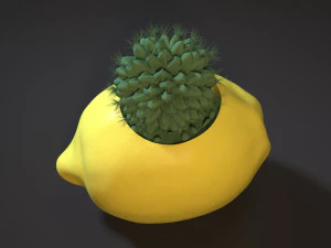 planter set 3D Print Model