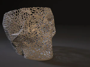 organizer skull 3D Print Model