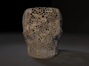 organizer skull 3D Print Model