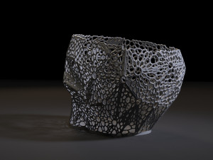organizer skull 3D Принт Модель