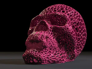 vampire skull 3D Print Model