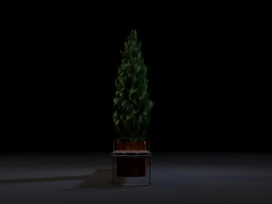 bench 3D Model