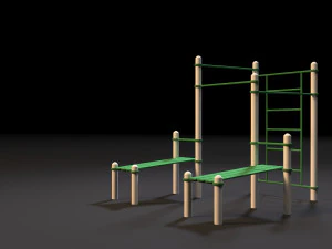 workout 3D Model
