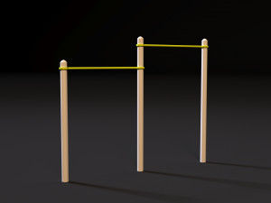 workout 20 3D Model
