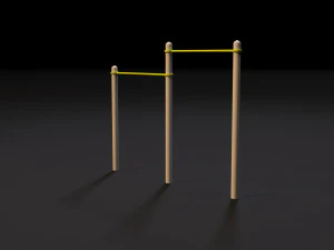 workout 20 3D Model