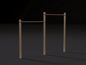 workout 20 3D Model