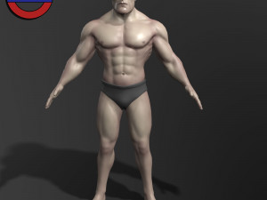 Human anatomy male body stylized cartoon v1 3Dモデル