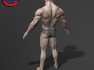 Human anatomy male body stylized cartoon v1 3Dモデル
