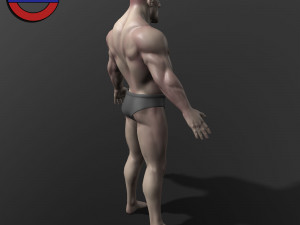 Human anatomy male body stylized cartoon v1 3Dモデル