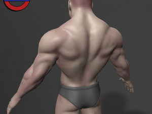 Human anatomy male body stylized cartoon v1 3Dモデル