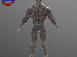 Human anatomy male body stylized cartoon v1 3Dモデル
