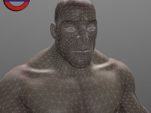 Human anatomy male body stylized cartoon v1 3Dモデル