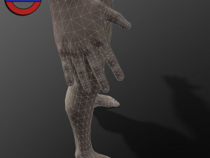 Human anatomy male body stylized cartoon v1 3Dモデル