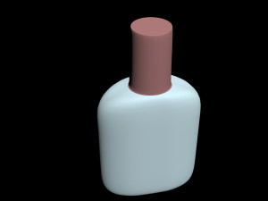 cent bottle Modèle 3D