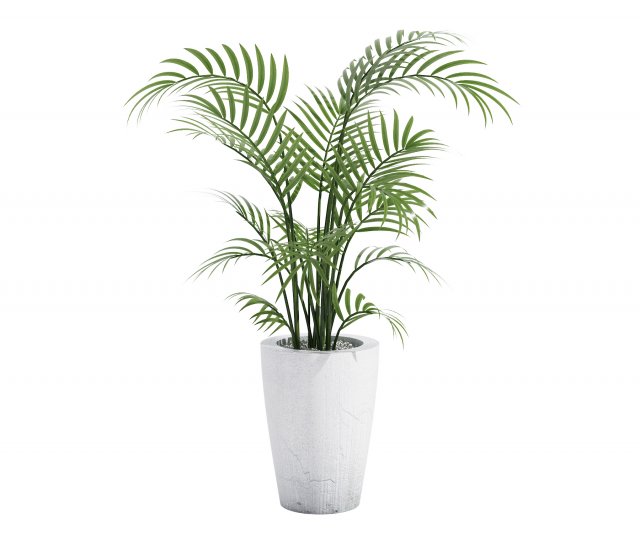 house plant 3Dモデル .c4d .max .obj .3ds .fbx .stl .blend 