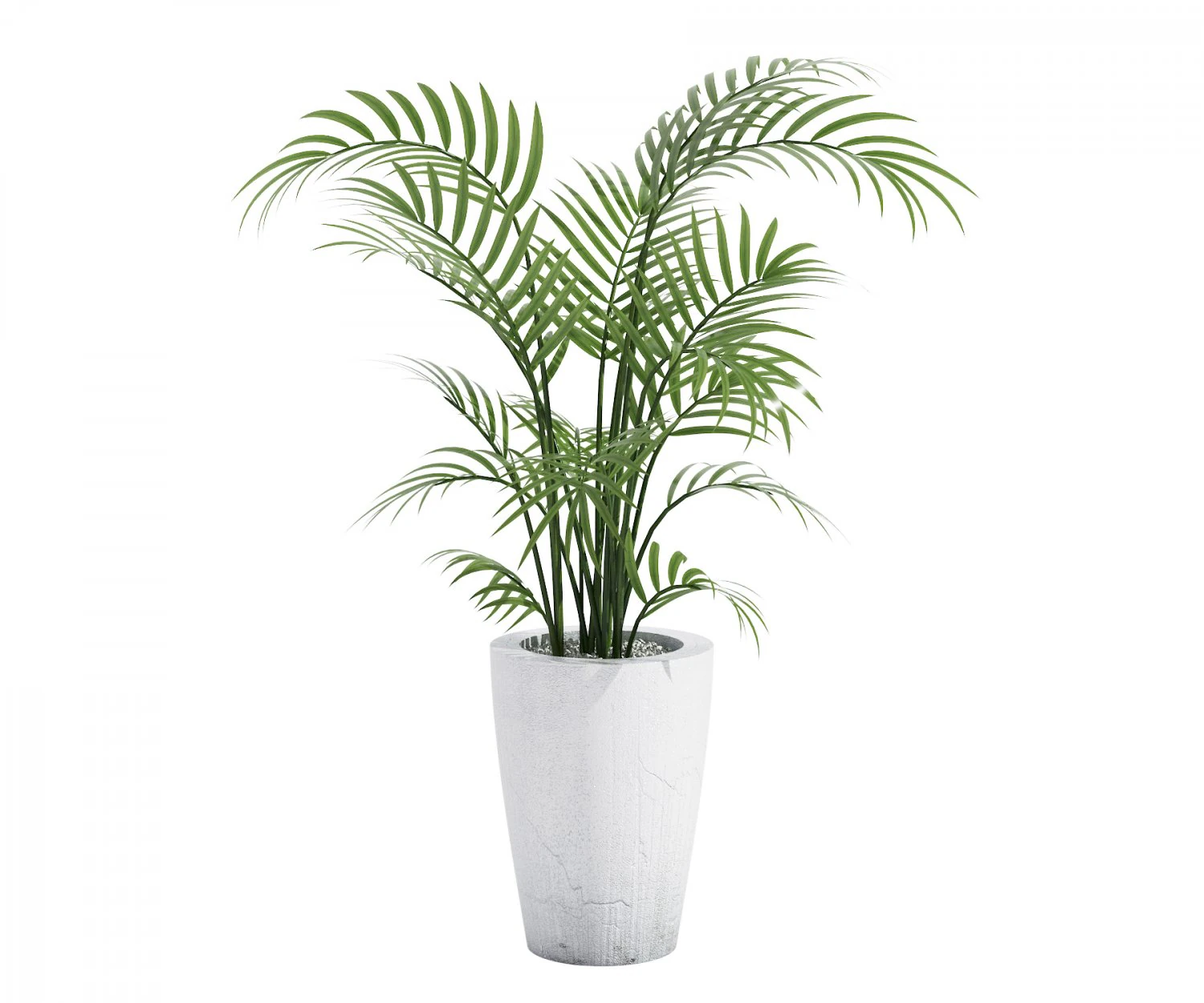 house plant 3D Model .c4d .max .obj .3ds .fbx .stl .blend 
