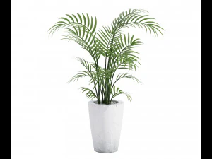 house plant 3D Model