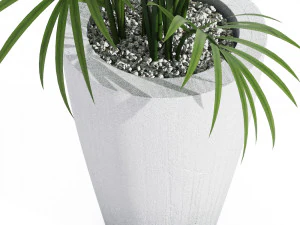 house plant 3D Model