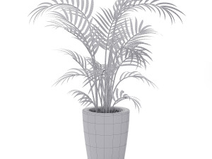 house plant 3Dモデル