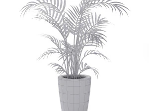 house plant 3D Model