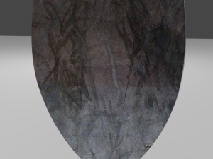 shield with targarian logo Modello 3D