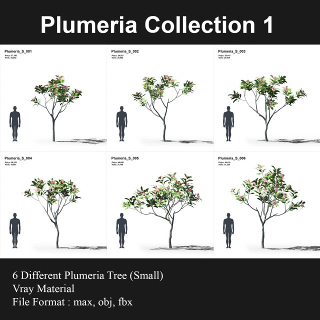 plumeria animated collection 1 3D Модель .c4d .max .obj .3ds .fbx .stl .blend 
