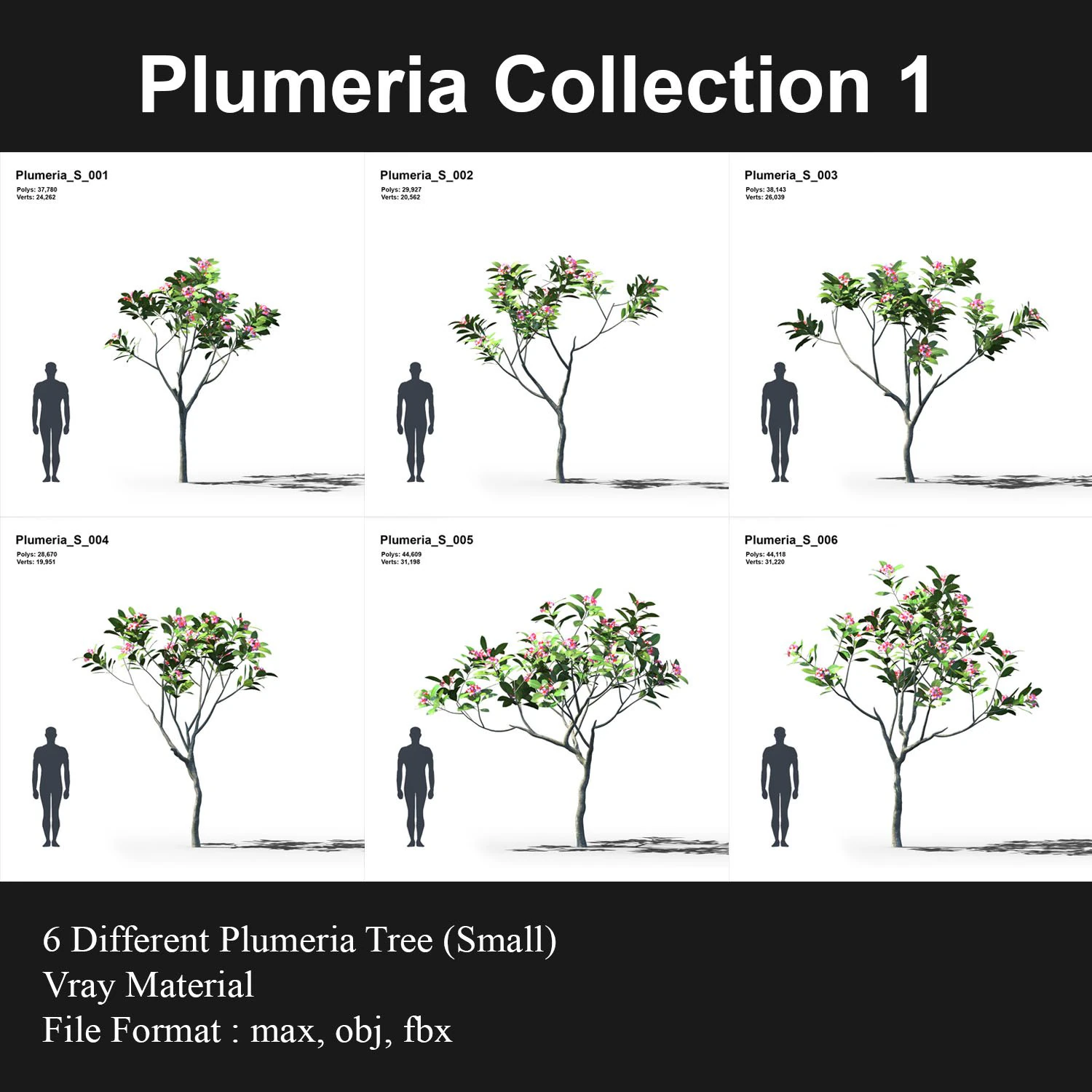 plumeria animated collection 1 3D Model .c4d .max .obj .3ds .fbx .stl .blend