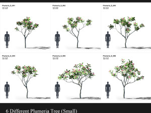 plumeria animated collection 1 Modelo 3D