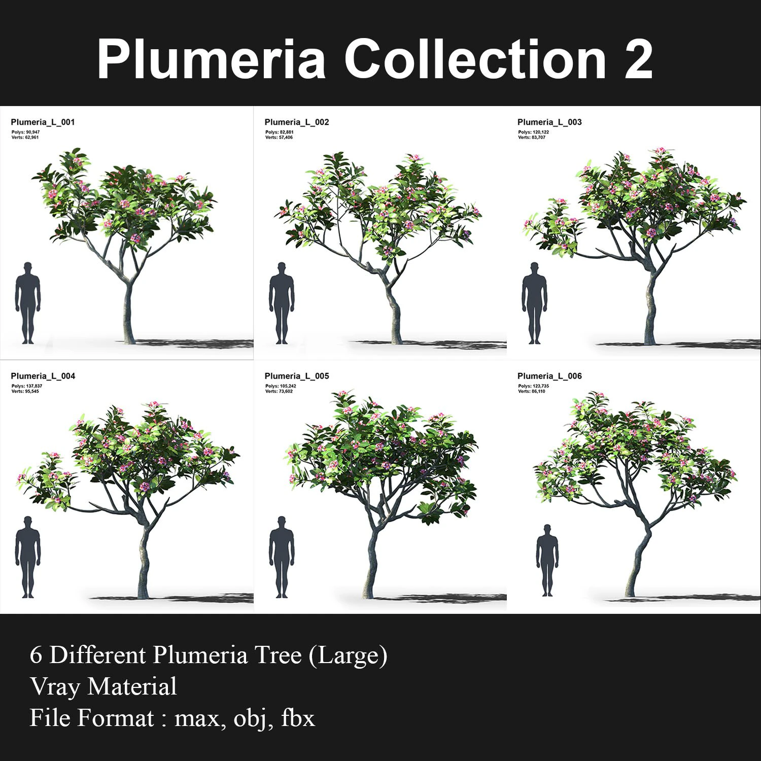 plumeria animated collection 2 3D Model .c4d .max .obj .3ds .fbx .stl .blend