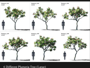 Collezione animata di plumeria 2 Modello 3D