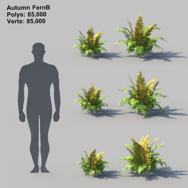 autumn fern b with animation 3D 모델 .c4d .max .obj .3ds .fbx .stl .blend 