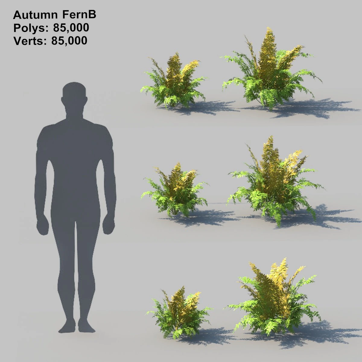 autumn fern b with animation 3D Model .c4d .max .obj .3ds .fbx .stl .blend 