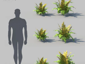 Felce autunnale b con animazione Modello 3D