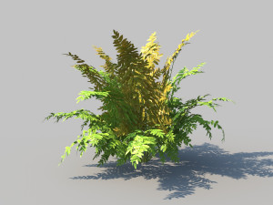 autumn fern b with animation 3D 모델
