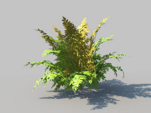 autumn fern b with animation 3D Model