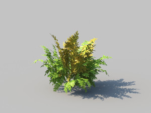 autumn fern b with animation 3D 모델