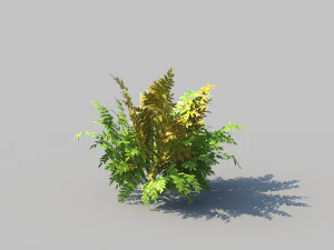 autumn fern b with animation 3D Model