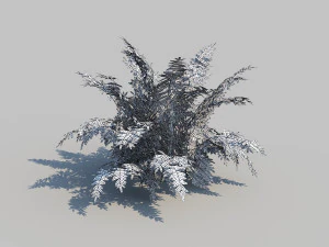 autumn fern b with animation 3D Model